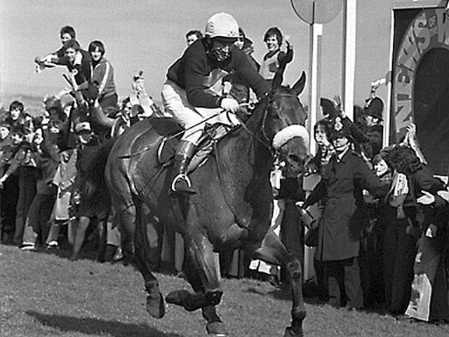 Red Rum with Brian Fletcher at the Grand National